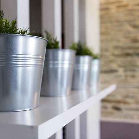 Albergue Goas Abadín Екстериор снимка